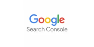 Google-Search-Console-WordPress-1024x1024